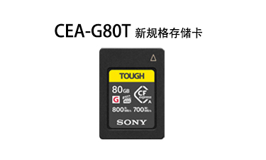 CEA-G80T